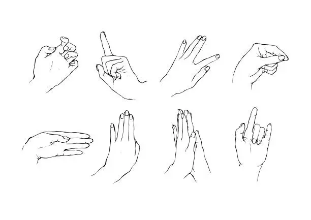 Vector illustration of various hand poses 3