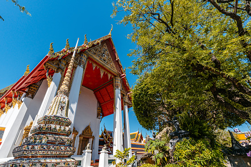 Wat Phu Khao Thong is an ancient temple in Phra Nakhon Si Ayutthaya Province.