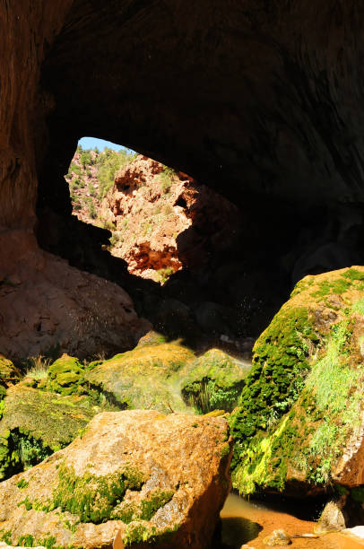 Tonto National Forest near Payson Arizona