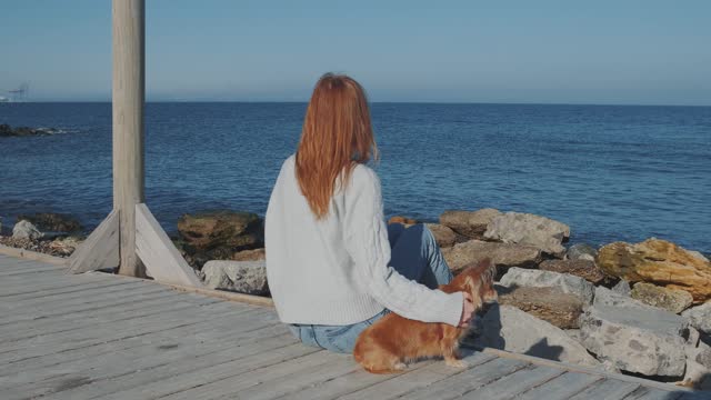 Beautiful redhead Ukrainian woman sitting on the beach and strokes longhaired chihuahua dog. Slow motion