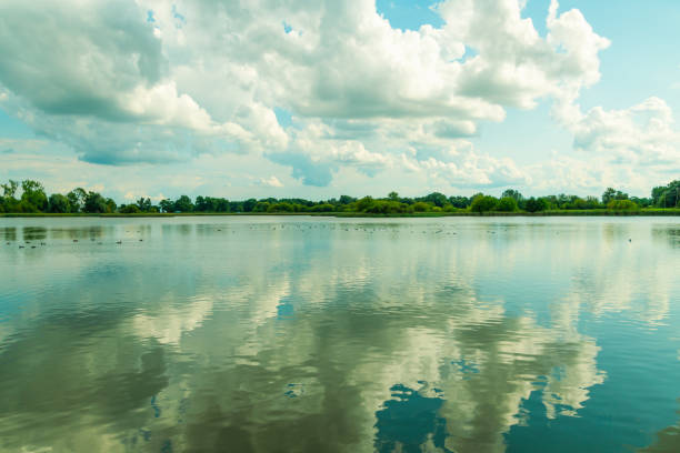 Lake in a green summer forest. Clouds are reflected in the water. Beautiful natural landscape. Weather.