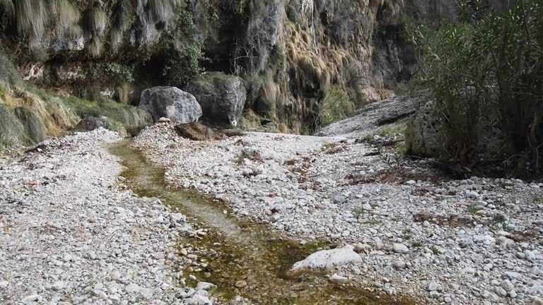 narrow canyon of Creek