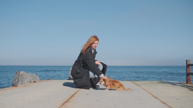 A beautiful red-haired girl walks near the sea and trains her funny Chihuahua dog. A woman with her pet spends time near the sea. Dog performs tricks for treats