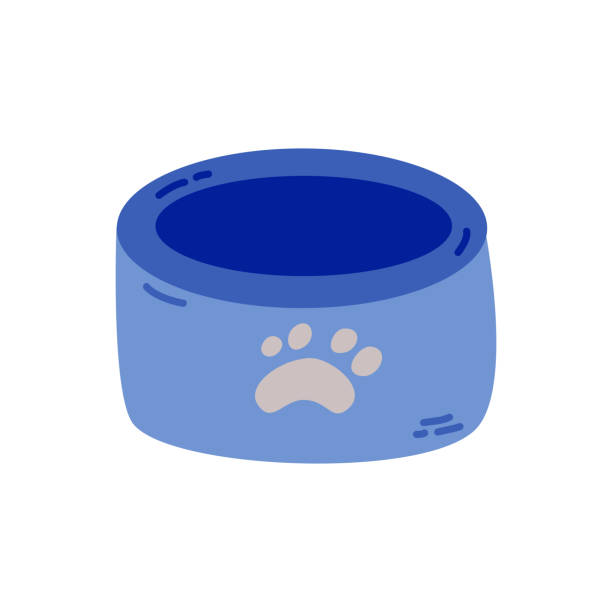istock Pet bowl for food and water. Bowl for cats. 2101801249