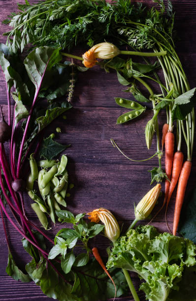 Flat Stacking series assorted green tinted Vegetables, Fresh Organic raw products