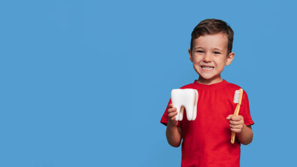 istock A smiling boy with healthy teeth holds a plush tooth and a toothbrush on a blue isolated background. Oral hygiene. Pediatric dentistry. Prevention of caries. A place for your text. 2101825257