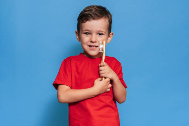 istock A smiling boy with healthy teeth holds a plus tooth and a toothbrush on a blue isolated background. Oral hygiene. Pediatric dentistry. Prevention of caries. 2101825739