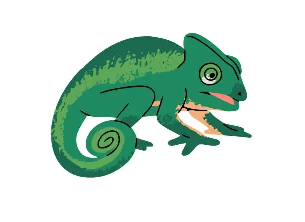 Vector illustration of Adorable chameleon. Cute lizard with green camouflage skin. Funny reptile with curled tail. Reptilian animal. Rainforest fauna, jungle inhabitant. Flat isolated vector illustration on white background