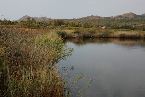 Mountains and green grasses along quietness of the pond