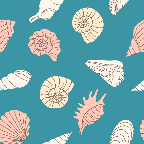 ilustrações de stock, clip art, desenhos animados e ícones de hand drawn vector illustration - seamless seashells patterns. marine background. ideal for invitations, greeting cards, posters, prints, banners, flyers, etc. - etching starfish engraving engraved image