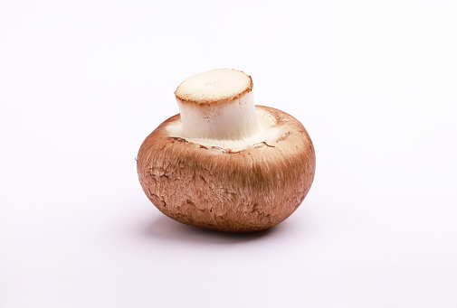 Single mushroom on white background