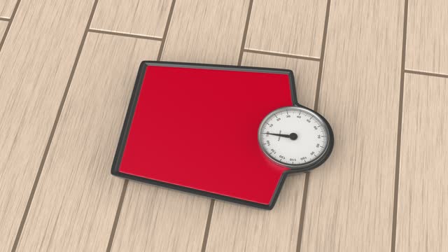 Mechanical weight scale