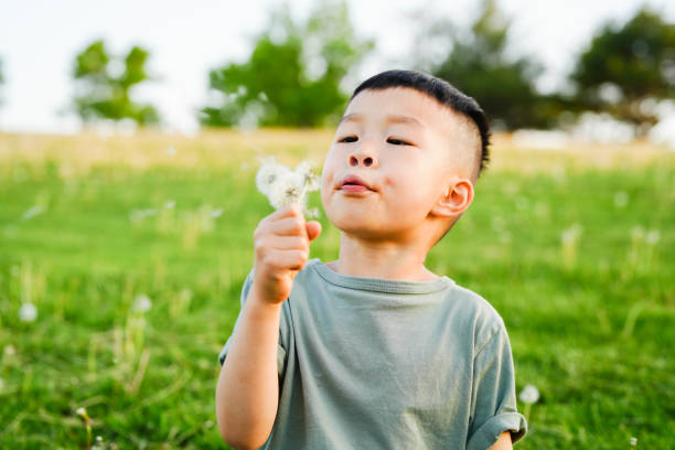 istock Boy with Dandelion in the Park 2101871248