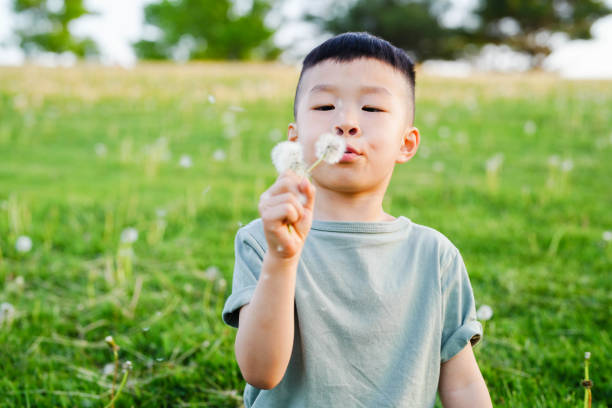 istock Boy with Dandelion in the Park 2101871251