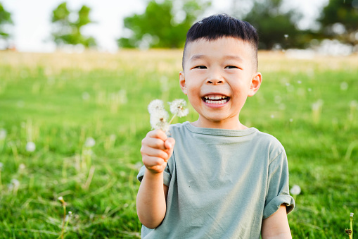 Boy with Dandelion in the Park