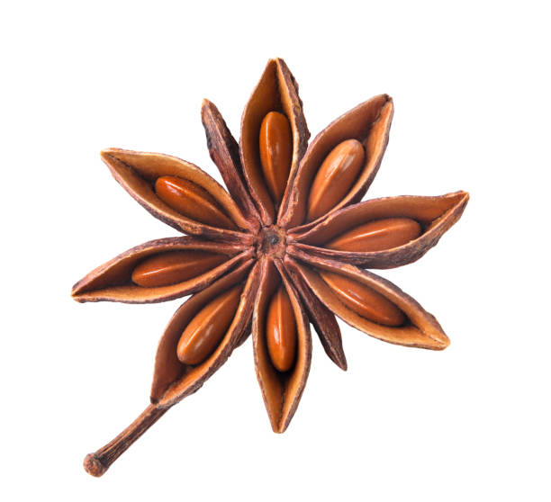 istock Star anise close-up on a white. Isolated 2101889918