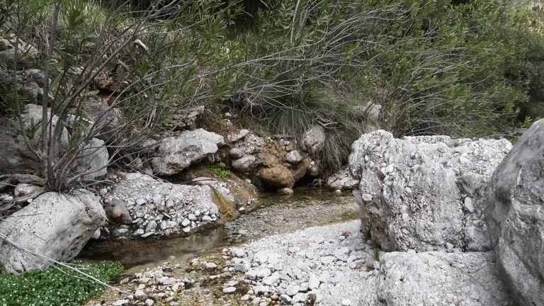 narrow canyon of Creek