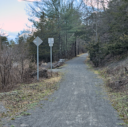 woman riding on a gravel bike path (cycling on unpaved dirt trail) distance, far away, from behind (woods, forest, trees)
