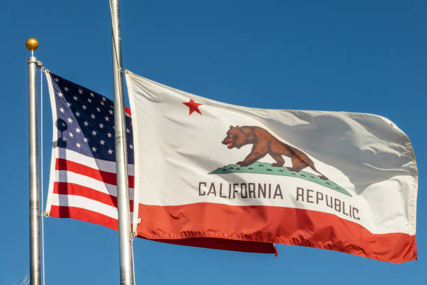 istock California Republic bear flag and US american flags floating on poles side by side 2101981850