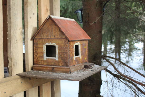istock bird feeder in the form of a house 2101986557