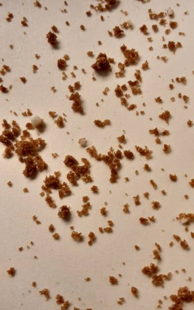 istock Chocolate cookie crumbs closeup. 2101994174