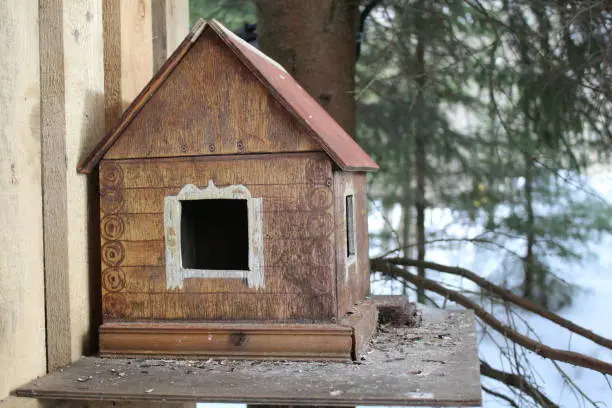 photo bird feeders. a small house for birds. It is located in the forest.