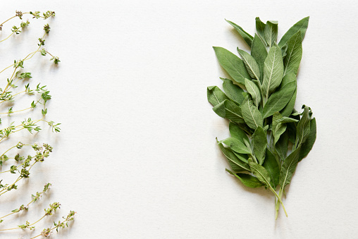 Bunch of mediterranean herbs in light gray background, fresh sage and thyme, spices and food element