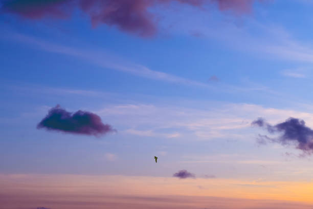 Beautiful sunset in the sky. Pink clouds. Sky background. Heavenly landscape. Beauty of nature.