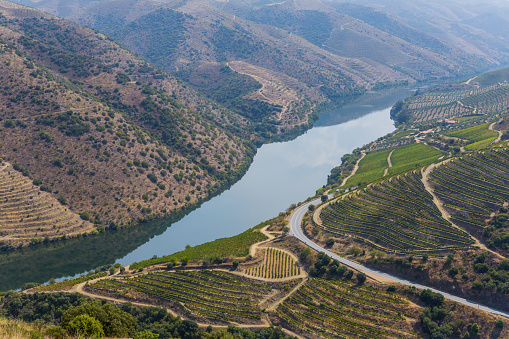 River Douro next to the mouth of the river Coa. Vila Nova de Foz Coa Municipality. Douro Region.