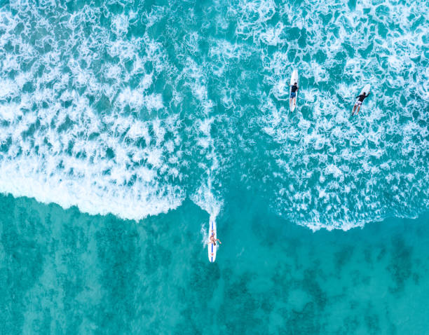 surfista en la playa de waikiki desde un dron - hawaii islands big island waikiki beach fotografías e imágenes de stock