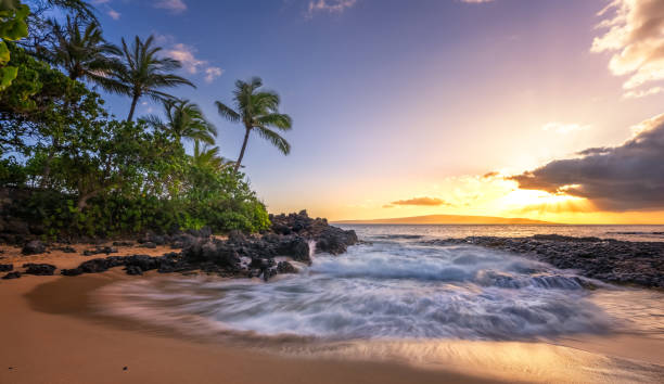 istock Beautiful Sunset on a Hawaiin beach with palm trees 2102081975