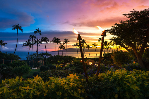 Sunset in Hawaii with palm trees