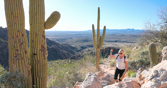 Mature woman hiker ascends pathway in desert through cacti forest