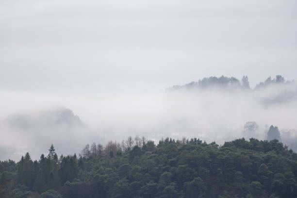 Early morning winter landscape at a fjord (Nordasvannet) near the City of Bergen on the west coast of Norway. The seawater of the fjord is partly frozen and hidden by fog or mist. The image was captured on an overcast and cloudy day.