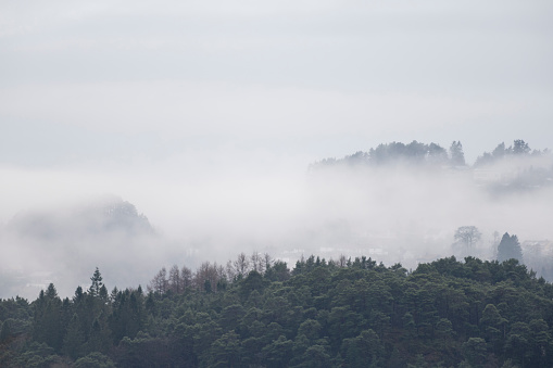 Early morning winter landscape at a fjord (Nordasvannet) near the City of Bergen on the west coast of Norway. The seawater of the fjord is partly frozen and hidden by fog or mist. The image was captured on an overcast and cloudy day.