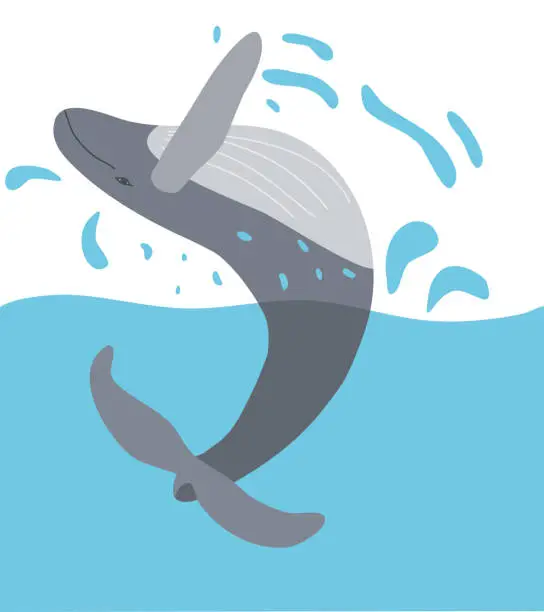 Vector illustration of Big whale jumping from water, World Whale Day banner or card, ecology concept, vector