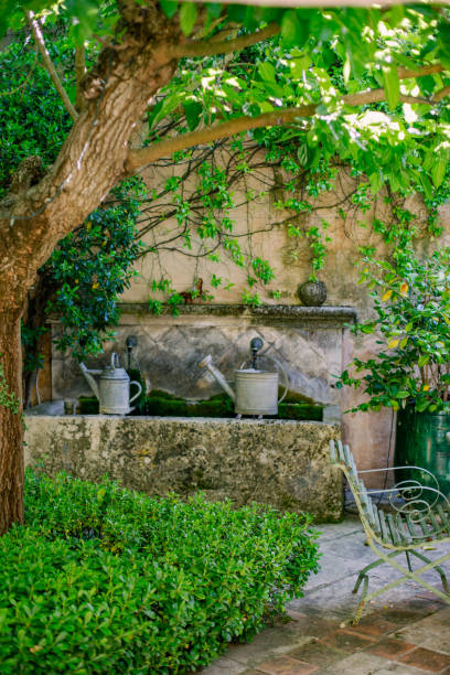 istock Garden in villa 2102129597