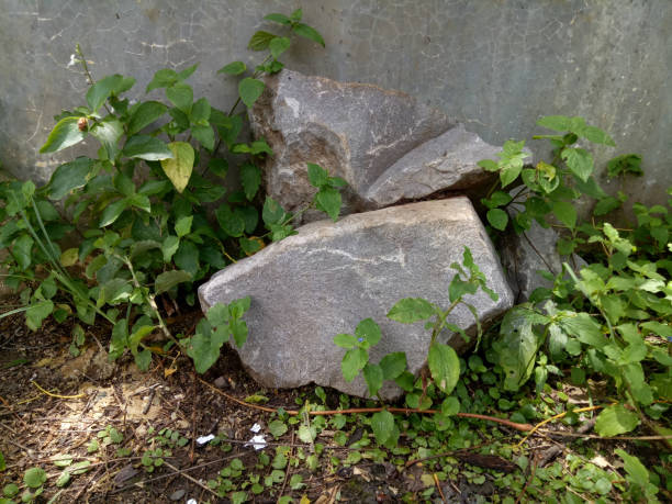 istock Several piles of building materials among the wild grass 2102142572