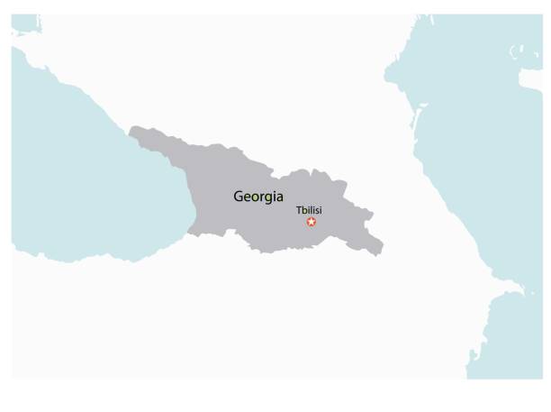 ilustraciones, imágenes clip art, dibujos animados e iconos de stock de esquema del mapa de georgia con regiones - georgia estado de eeuu