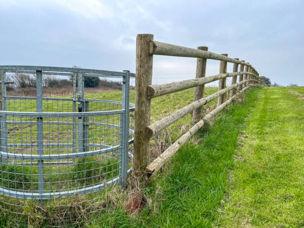 Wooden fence and animal proof gate