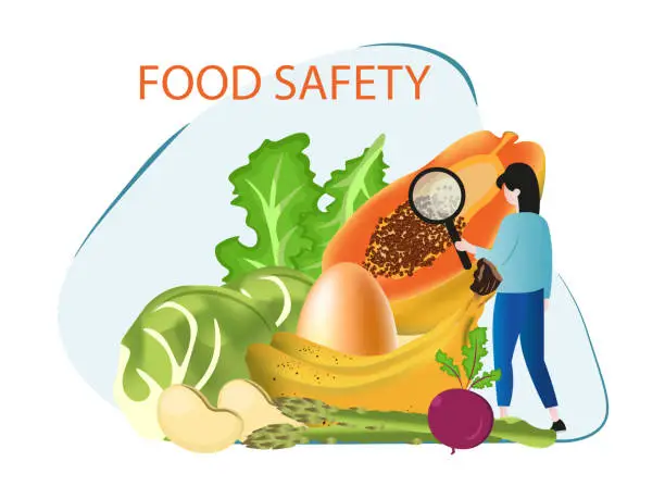 Vector illustration of Different foods in the center and a person with a magnifying glass.Food safety concept.