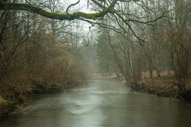 istock Mystic Waters: Capturing the Moody Essence of a Serene River 2102220903