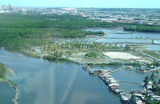 Community Brasil Recife