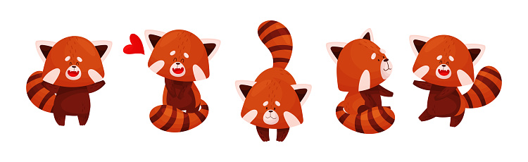 Cute Red Panda Chinese Animal Character with Striped Tail Vector Set. Funny Zoo Mammal Engaged in Different Activity