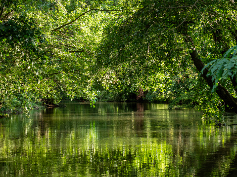 De Ill is een rivier in het oosten van Frankrijk, die ongeveer 223 kilometer lang is. Het ontspringt in de Vogezen en stroomt door Straatsburg voordat het in de Rijn uitmondt. De Ill is een belangrijke waterweg in de regio Elzas.