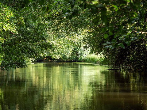 De Ill is een rivier in het oosten van Frankrijk, die ongeveer 223 kilometer lang is. Het ontspringt in de Vogezen en stroomt door Straatsburg voordat het in de Rijn uitmondt. De Ill is een belangrijke waterweg in de regio Elzas.