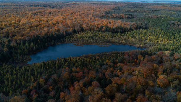 istock A pond surrounded by a forest in the fall 2102302670