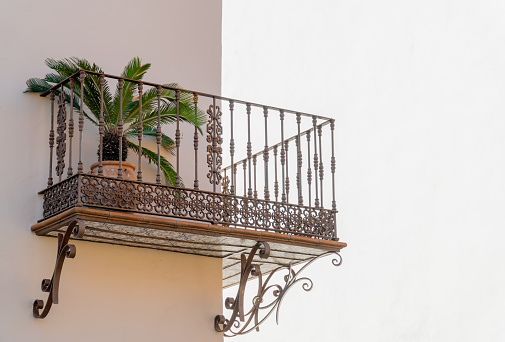 Balcony with a small palm tree in a pot, wrought iron railing