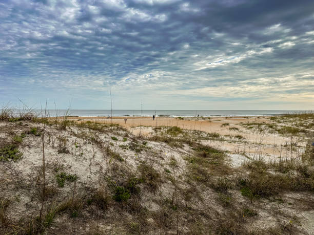 istock Anastasia State Park Beach, St. Augustine, Florida 2102374474