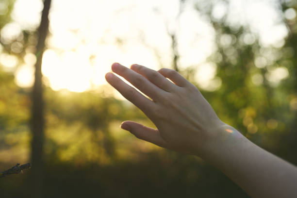 A close up of the hand of a small child, after she dug into the dirt.